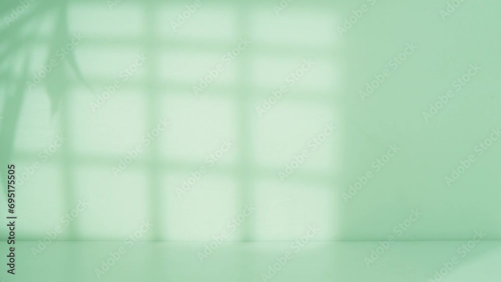 Poster Backdrop display with window and palm shadow