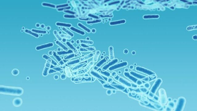 Enterobacteriaceae, gram-negative rod-shaped bacteria, part of intestinal microbiome and causative agents of different infections, 3D rendering. Escherichia coli, Klebsiella, Enterobacter and other