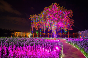 Bright color lights wrapped around a tree and lights on verbena flower in garden at night, side...