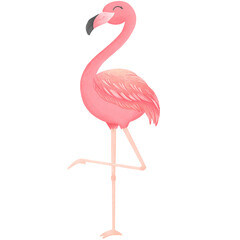 Flamingos