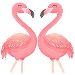 Flamingos