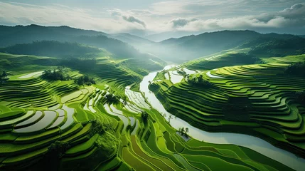 Foto auf Acrylglas Reisfelder An aerial view of a vast and lush rice field