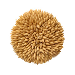 Wheat seeds isolated on transparent background