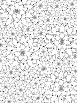 Abstract background doodle floral pattern in black and white. A page for coloring book: fascinating and relaxing job for children and adults. Zentangle drawing. Flower carpet in a magic garden vector.