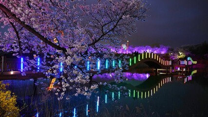 Spring night view of Gyeongju, Korea