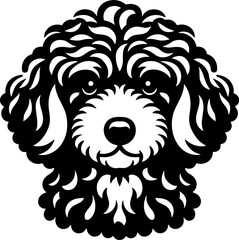 Petite Goldendoodle icon 9