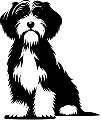 Petit Basset Griffon Vendéen icon 2