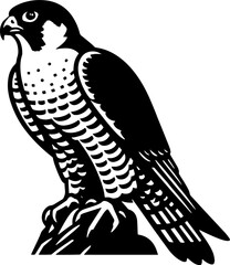 Peregrine Falcon icon 15 - obrazy, fototapety, plakaty
