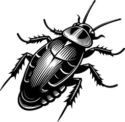 Pennsylvania Wood Cockroach icon 3