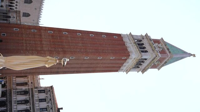 Saint Marko's Campanile and seagulls around in Venice, Italy. Vertical, static