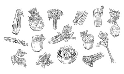 celery handdrawn collection