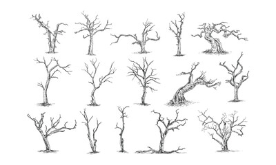 dead tree handdrawn collection