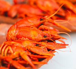 Close-up of red boiled crayfish
