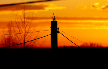 Electric pole at sunrise. Background