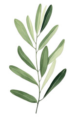 Colorful watercolor painting of an olive leaf. Vibrant shades and delicate details create a soothing and natural artistic generative AI