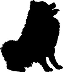Pomeranian spitz High quality Dog silhouette Breeds Bundle Dogs on the move. Dogs in different poses.
The dog jumps, the dog runs. The dog is sitting. The dog is lying down. The dog is playing