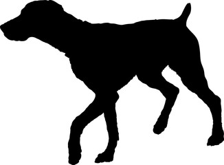  Pointer dog is walking High quality Dog silhouette Breeds Bundle Dogs on the move. Dogs in different poses.
The dog jumps, the dog runs. The dog is sitting. The dog is lying down. The dog is playing