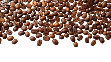 Coffee Beans Edge Pattern Isolated on Transparent or White Background, PNG