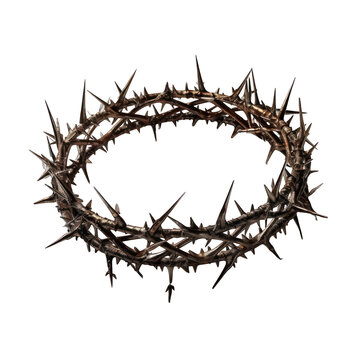 Crown of Thorns Isolated on Transparent or White Background, PNG