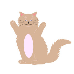 Cute playful fat cat. Lazy fluffy funny cartoon character. Hand drawn vector illustration isolated on white background.