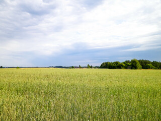 Countryside in northern Poland Kashubia. - obrazy, fototapety, plakaty
