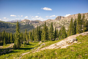 Tranquil mountain landscape with coniferous trees and meadow, Colorado
