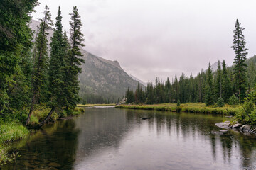 Riparian landscape in the Holy Cross Wilderness, Colorado
