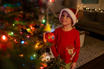 Young boy wearing a Santa hat looking at his Christmas tree