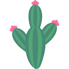 Flat Cactus Plant