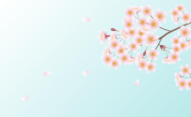 花びら舞い散る桜の背景イラスト素材 ベクター 春 空 - obrazy, fototapety, plakaty