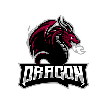 dragon fly logo design
