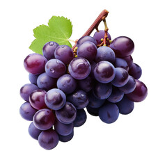 violet grapes on a Transparent background. ripe purple berries with green leaves.