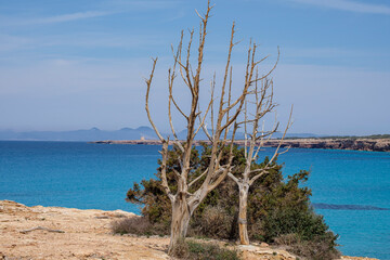 Cala Saona, Formentera, Pitiusas Islands, Balearic Community, Spain