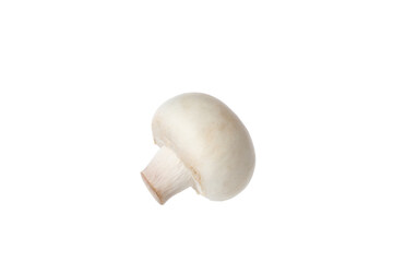 PNG, Whole fresh champignon, isolated on white background