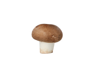 PNG, Whole fresh champignon, isolated on white background
