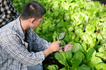 Portrait of handsome male farmer working in vegetables hydroponic farm.