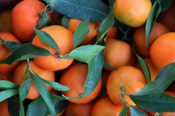 Ripe bright orange Tangerine or Clementine or Mandarine texture. Citrus reticulata 