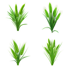 collection of 3D shapes of green wheat plants Artificial Intelligence Generative