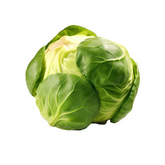 Spinach, cabbage isolated on transparent background