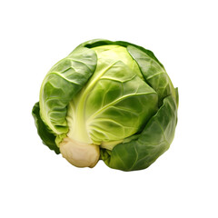 Spinach, cabbage isolated on transparent background