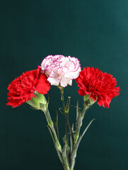 A bouquet of Mother's Day flowers, carnations