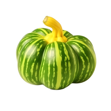 Green pumpkin isolated on transparent background
