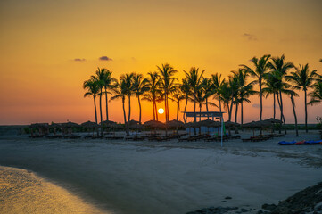Sunset at Hawana Beach in Salalah, Oman with palm trees, sunshades and sunbeds