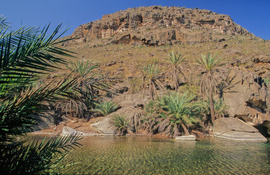 Wadi Desmo Socotra Island
