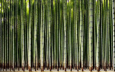 bamboo-grove-whispers-tall-bamboo-shoots-swaying-in-the-wind-capturing-the-quiet-conversation.
