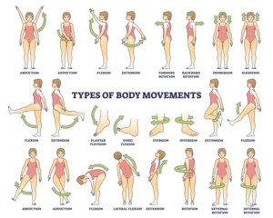 Foto op Plexiglas Body movement types with medical physical motion explanation outline diagram, transparent background. Labeled educational anatomy scheme with healthy leg, arm or shoulders rotation, extension. © VectorMine