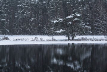 WINTER ATTACK - A frozen lake and snow covered trees on the banks
