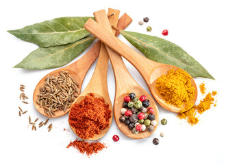 Colorful different seasonings in wooden spoons surrounded with herbs and spices on white background.