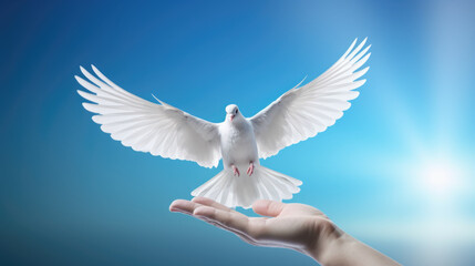 Human hand free white dove of peace against blue sky background