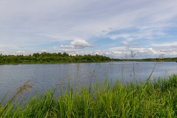 water with waves in the river in summer with green grass